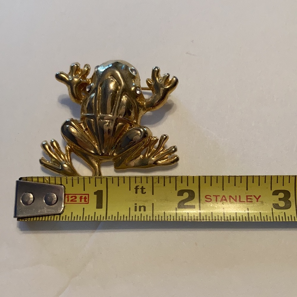 Frog 🐸 Brooch - Picture 2 of 3